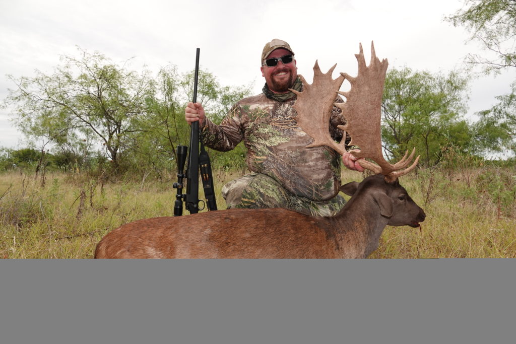 Exotic Fallow Deer Hunts in Texas Superior Range of