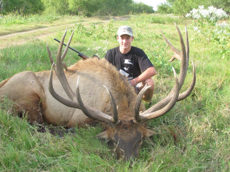 Exotic Elk Hunting in Texas Superior Range of Exotic Elk Hunts at