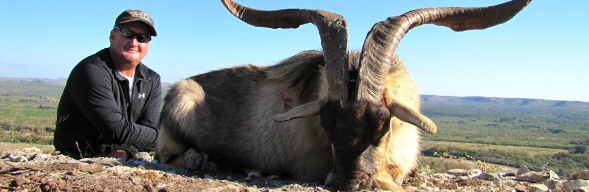 Catalina Goat Hunting Texas