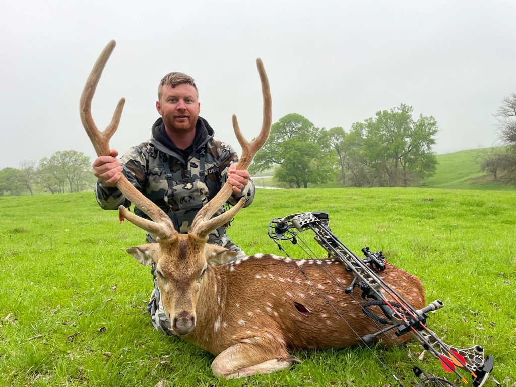 Axis Deer Hunt in Texas Axis Deer Hunting Packages Cotton Mesa