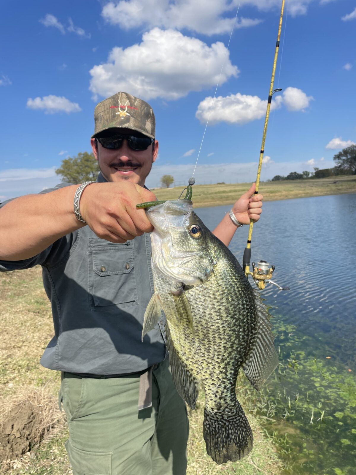 https://www.cottonmesawhitetail.com/wp-content/uploads/2023/03/C93659BE-7F36-4535-80DA-63C4D011CB4C-scaled.jpeg