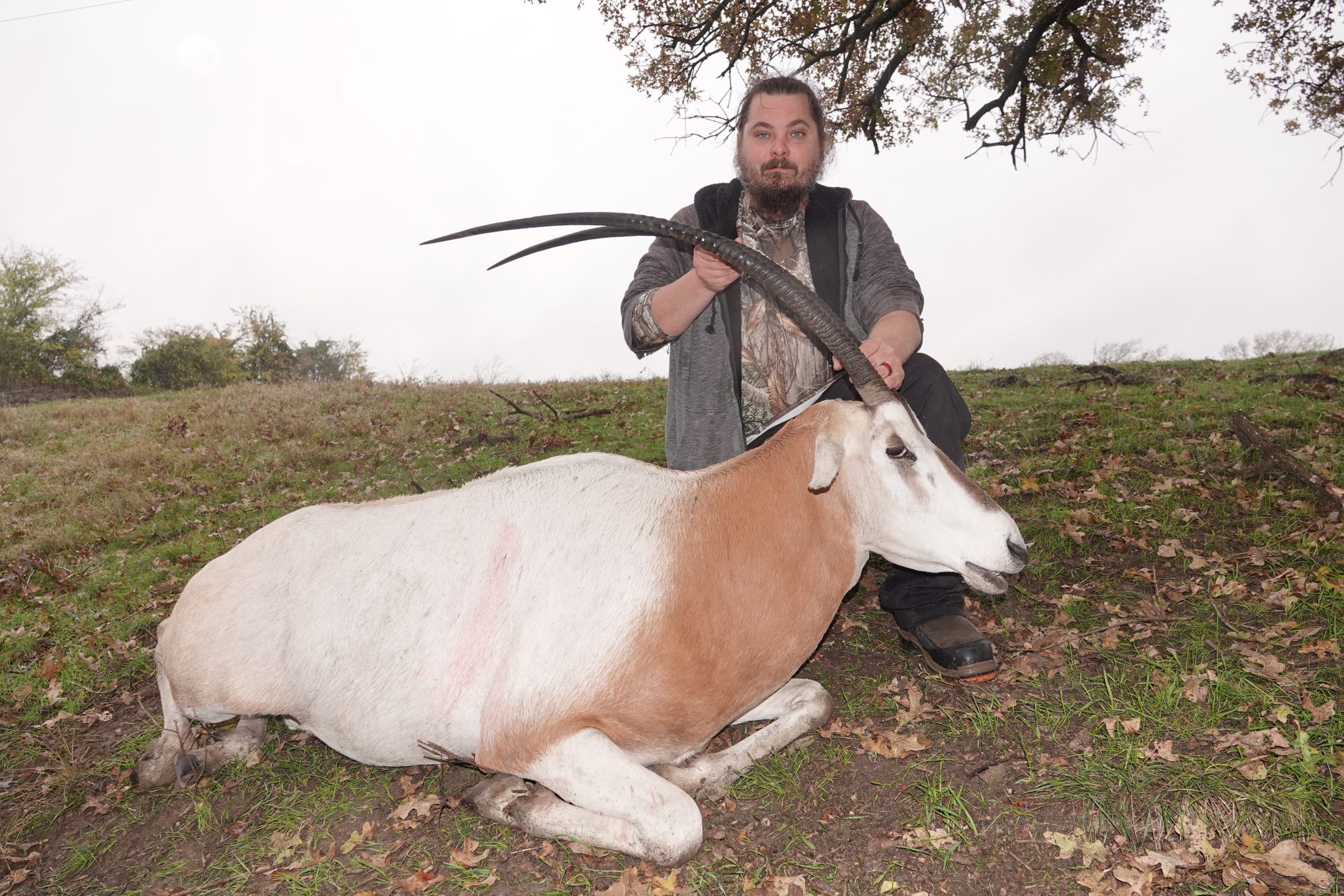 https://www.cottonmesawhitetail.com/wp-content/uploads/2023/03/C9CEDA50-6612-4918-894A-34C47D9E4EF3-scaled.jpeg