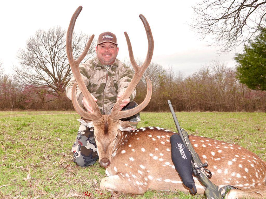 Axis Deer Hunt in Texas Axis Deer Hunting Packages Cotton Mesa
