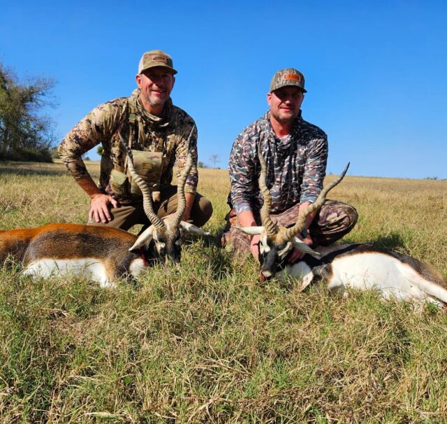 A pair of blackbuck down for our hunters. Good shooting guys! www.cottonmesawhitetail.com903-654-3416