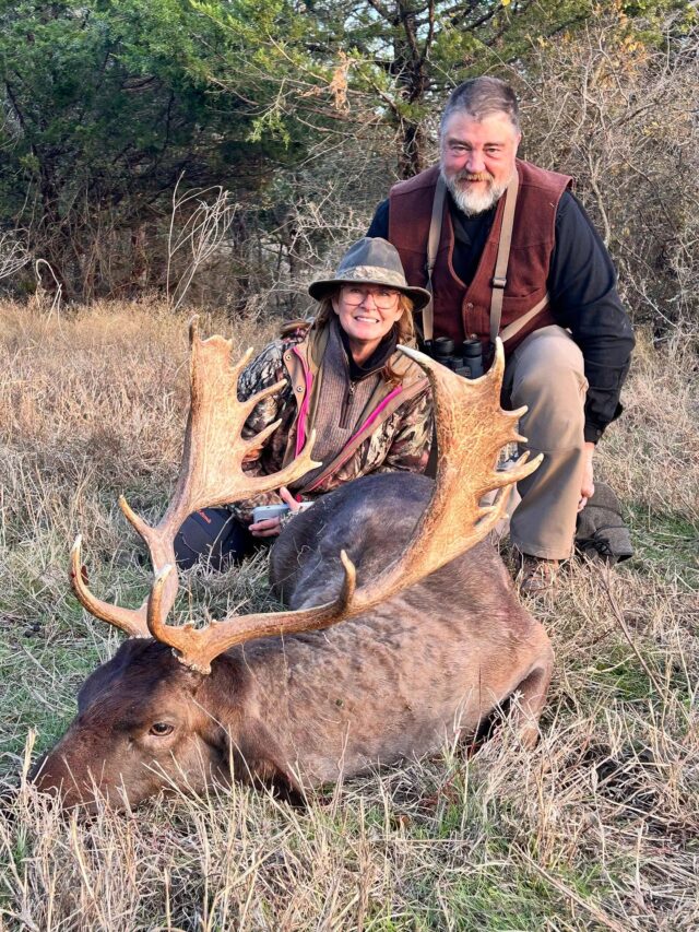 Chocolate fallow buck down for our hunter, Janet! Thank you for hunting with us. www.cottonmesawhitetail.com903-654-3416