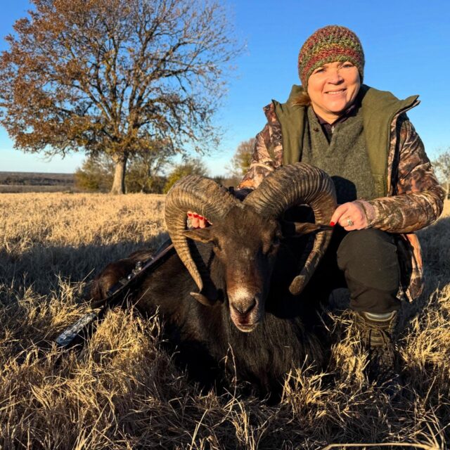 Congratulations to our hunter, Michelle on harvesting a midnight urial ram! Thank you for hunting with us. www.cottonmesawhitetail.com903-654-3416