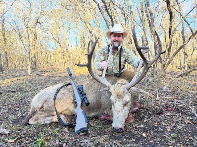 Pere David deer down for our hunter, John. Thank you for hunting with us.www.cottonmesawhitetail.com903-654-3416