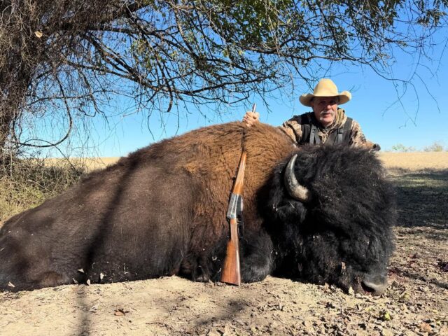 Congratulations to our hunter, Mark on harvesting a great bison bull! www.cottonmesawhitetail.com903-654-3416