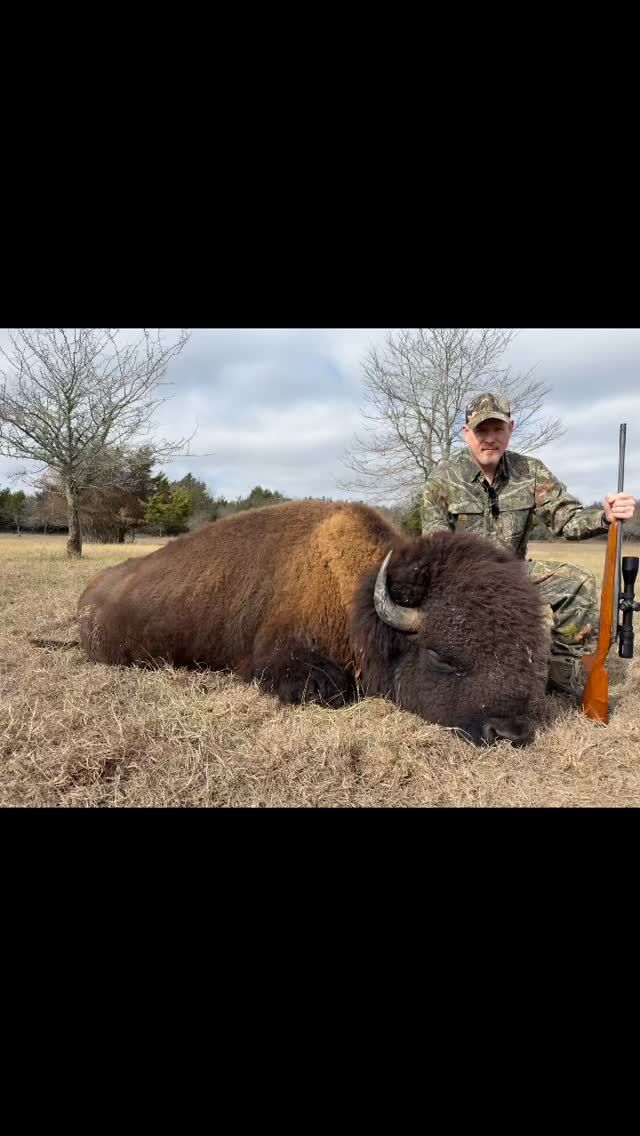 Time to skin another bison bull! These beast yield lots of quality meat and make for a beautiful trophy for your home. Join us in 2026.www.cottonmesawhitetail.com903-654-3416