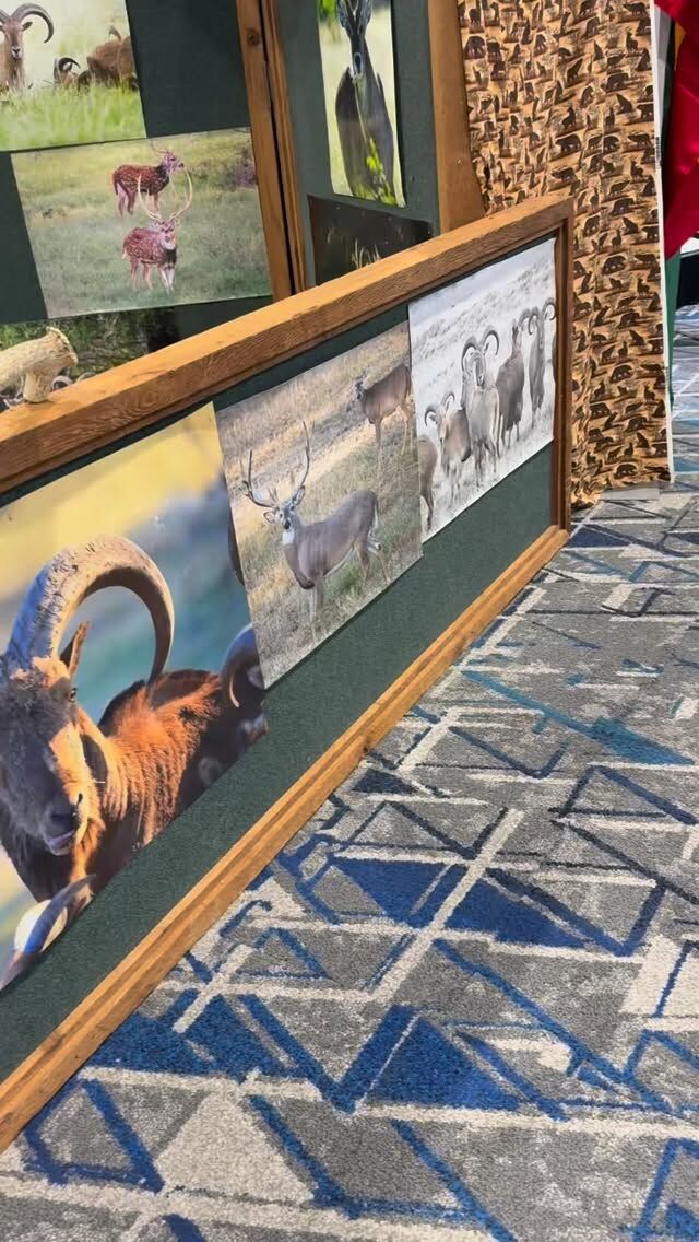 It's Saturday at the @houstonsafariclubfoundation convention. Come get out of the cold and book an adventure. www.cottonmesawhitetail.com903-654-3416