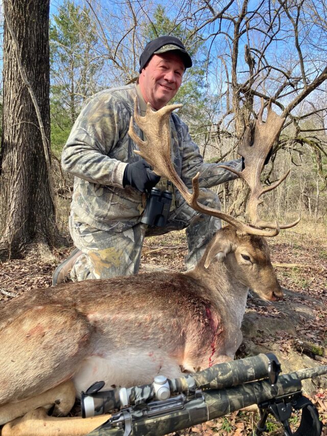 Fallow buck down for our hunter, Vinny! We still have some trophy bucks available before they start shedding antlers next month. www.cottonmesawhitetail.com903-654-3416#fallowdeer #texasranch #dfw #texaswildlife #deerhunting