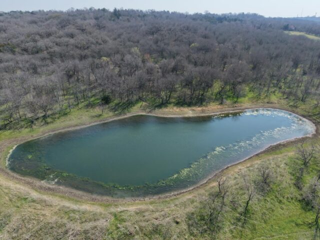 Prime habitat for whitetail and exotic wildlife. The trees are just starting to bud out again. Spring is just around the corner. www.cottonmesawhitetail.comRobert (903) 654-3416Stephen (903) 654-0361
