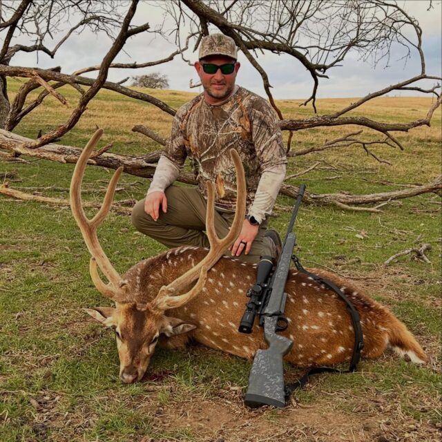 Axis buck down for our hunter! www.cottonmesawhitetail.com