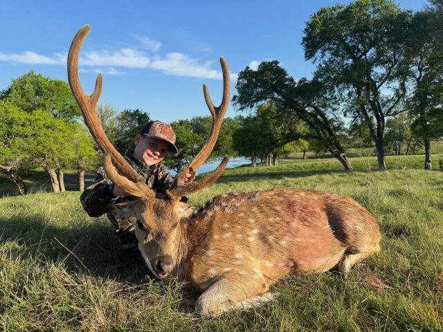 Congratulations to our hunter, James on harvesting a beautiful axis buck! Thank you for traveling from Arkansas to hunt Texas exotics with us. www.cottonmesawhitetail.comRobert (903) 654-3416Stephen (903) 654-0361