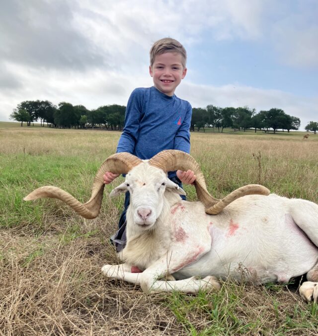 Congratulations to our first time hunter, Dan on harvesting a beautiful Texas doll ram! www.cottonmesawhitetail.comRobert (903) 654-3416