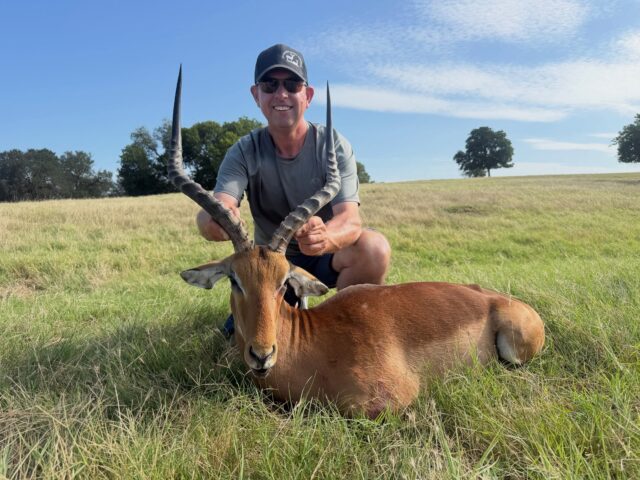 A beautiful Impala ram hunted at the ranch! www.cottonmesawhitetail.comRobert (903) 654-3416