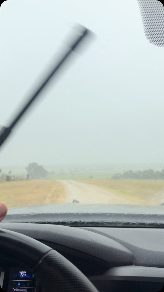 It’s been a hot and dry summer. Rain in July is a welcome sight. This will help everything on the ranch. www.cottonmesawhitetail.comRobert (903) 654-3416