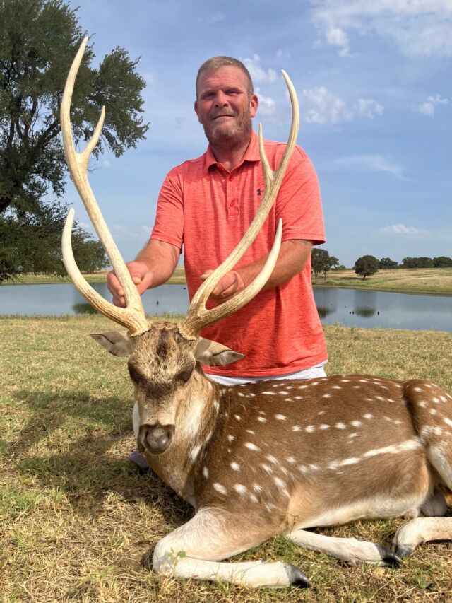 Summertime axis deer hunt! Our fall hunting season is just a few weeks away. www.cottonmesawhitetail.comRobert (903) 654-3416