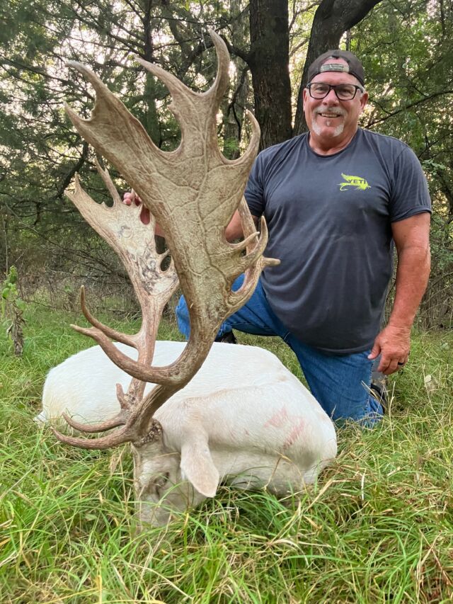 Congratulations to our long time hunter and friend Mark on harvesting a beautiful fallow buck! It’s going to be great fall hunting season for fallow bucks and more.www.cottonmesawhitetail.comRobert (903) 654-3416