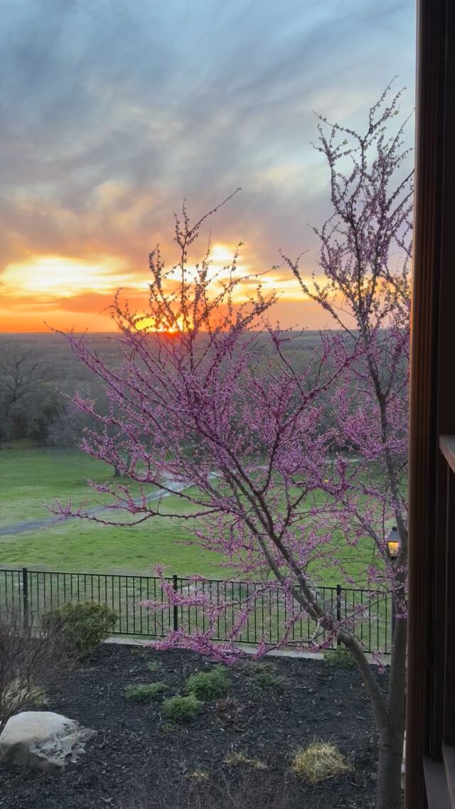 Sunsets are hard to beat around here! Come enjoy this view. www.cottonmesawhitetail.comRobert (903) 654-3416