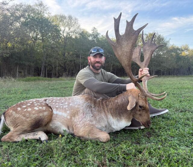 Fallow buck down for our hunter, Justin! www.cottonmesawhitetail.comRobert (903) 654-3416