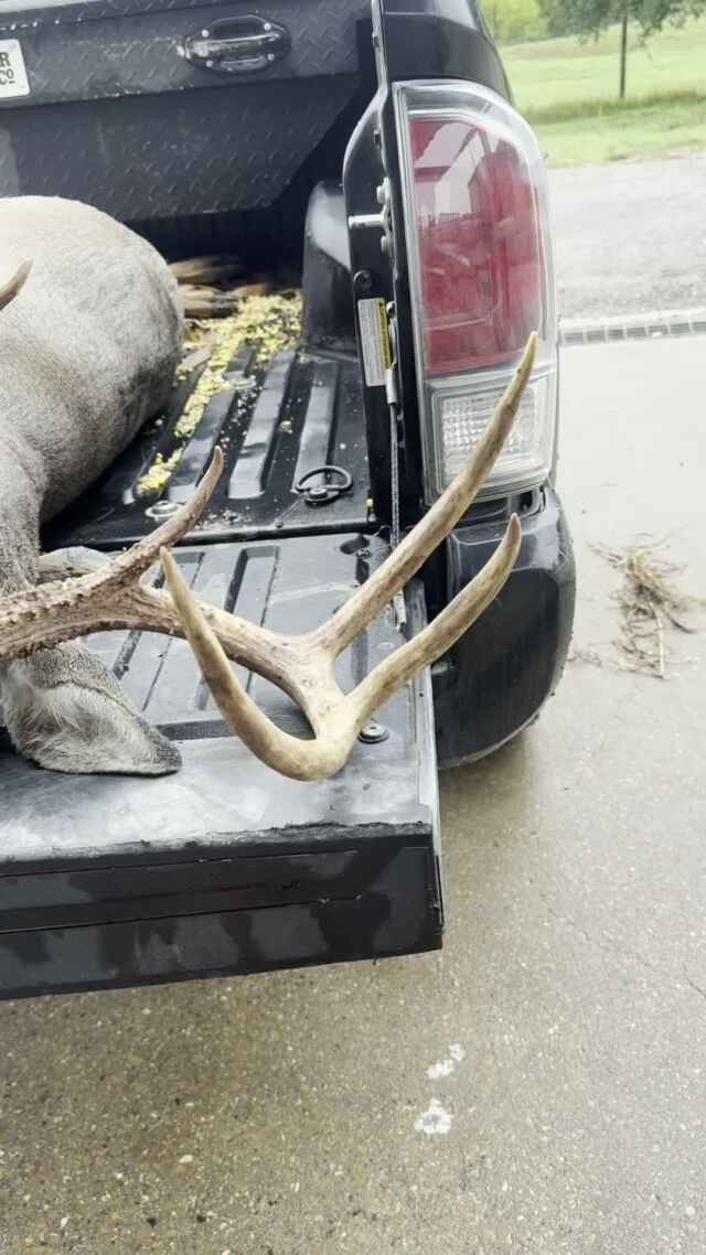 A couple of ole tailgate bucks. Let the fun begin! www.cottonmesawhitetail.comRobert (903) 654-3416
