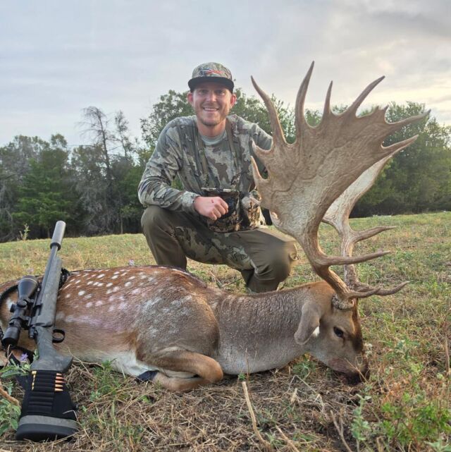 Big fallow buck down for our hunter, Stefan! www.cottonmesawhitetail.comRobert (903) 654-0361
