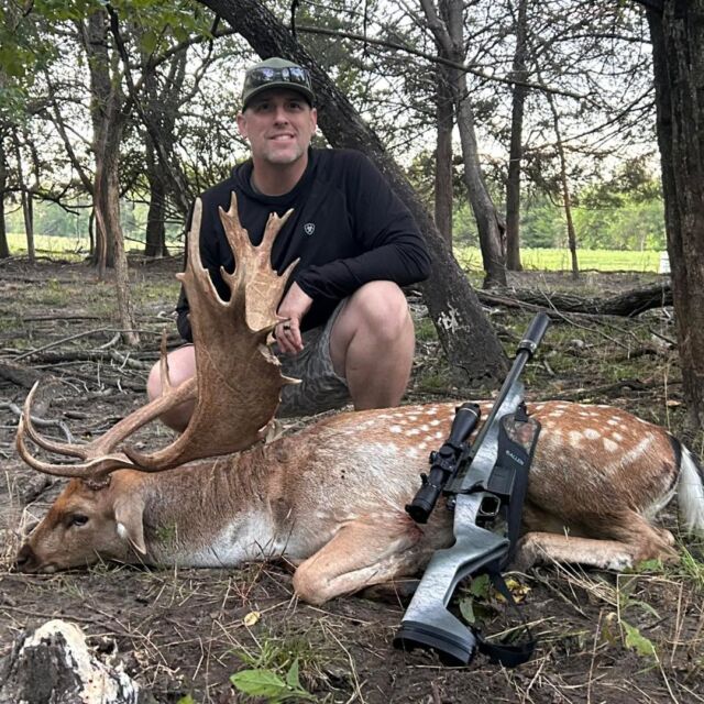 Fall fallow deer hunts have been successful! www.cottonmesawhitetail.comRobert (903) 654-3416