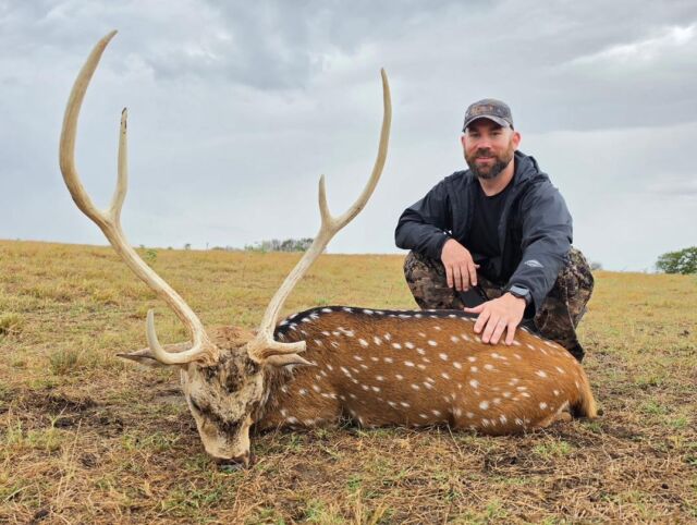 Axis buck down for our hunter, Justin! www.cottonmesawhitetail.comRobert (903) 654-3416