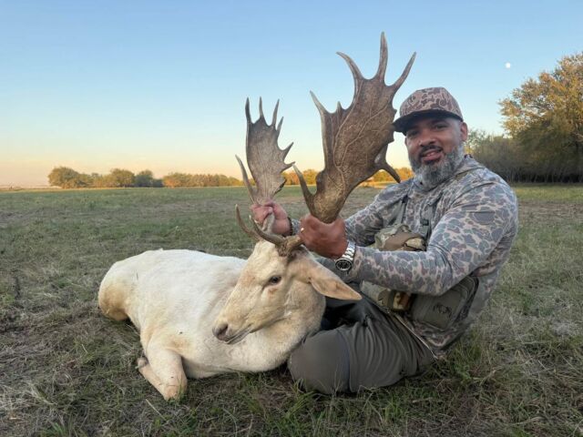 White fallow buck down for our hunter, Ruben! Thanks for hunting with us. www.cottonmesawhitetail.comRobert (903) 654-3416